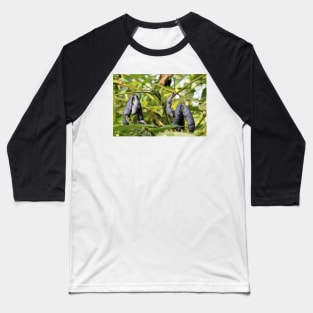 Decaisnea fargesii - Dead Man's Fingers Baseball T-Shirt